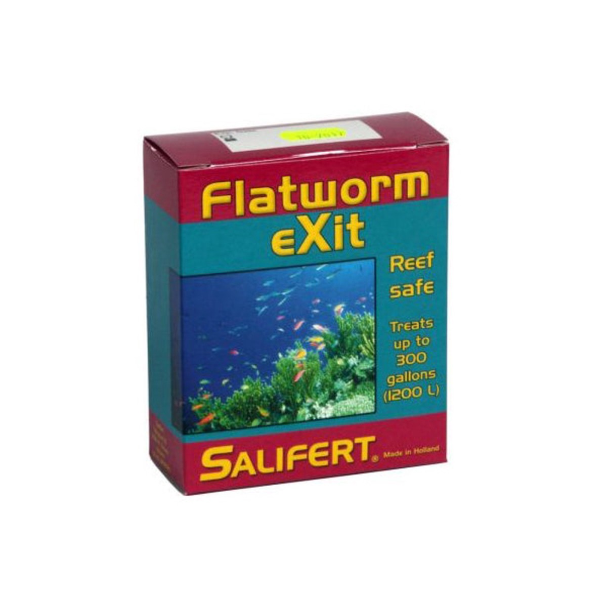 flatworm-exit