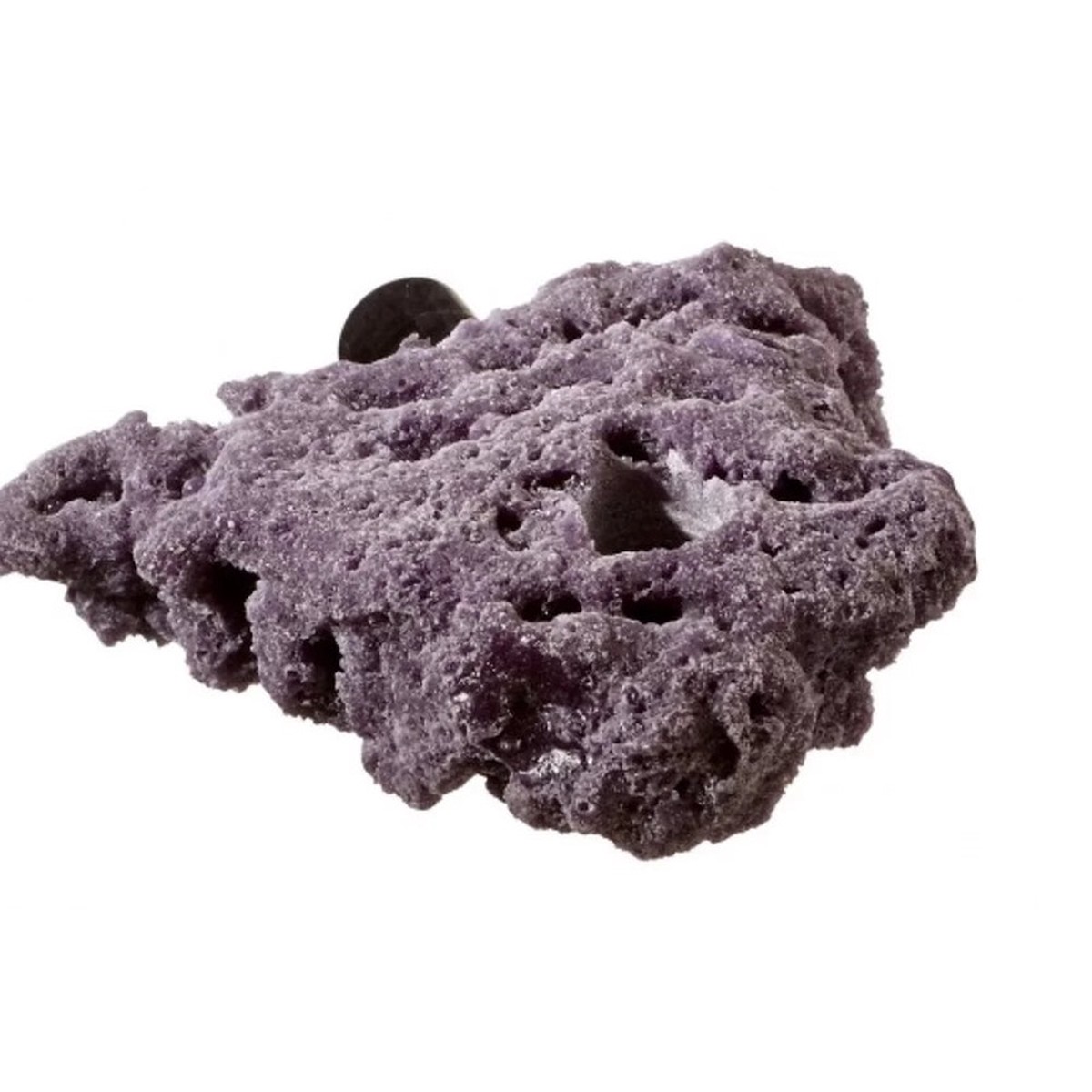 reef-rax-single-plug-shelf